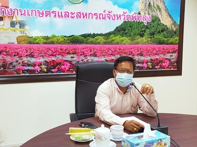 183850600 1741678572690180 998419999577367671 n