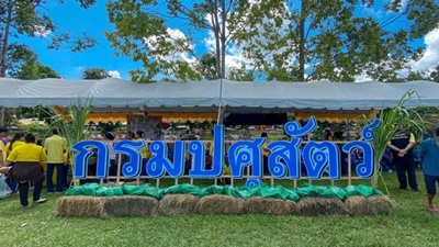 504101919 2849256351932391 9162039415865899020 n