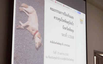 504234539 2849259405265419 6982545584445533618 n