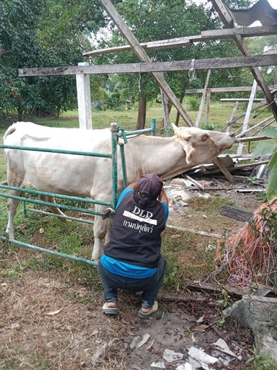 526313480 2900154826842543 8473312107584845511 n