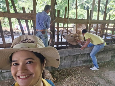 526617440 2900154946842531 8620174411183424741 n