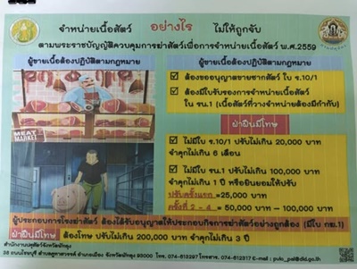 528380844 2904913989699960 2488787635202936380 n