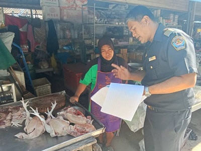 529346335 2904914709699888 5666516168244579483 n