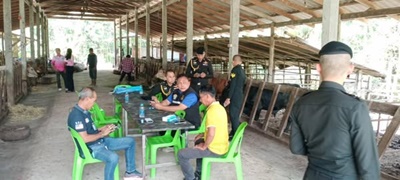 536282237 2917192485138777 3616790819864514215 n