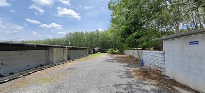 536103781 2919882114869814 3625304910382604350 n