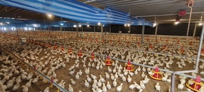 536273498 2919882054869820 7089042401266718939 n