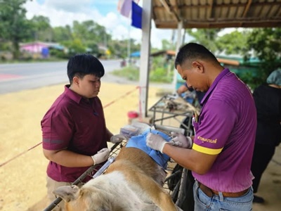 538912960 2923780507813308 977255942497842099 n