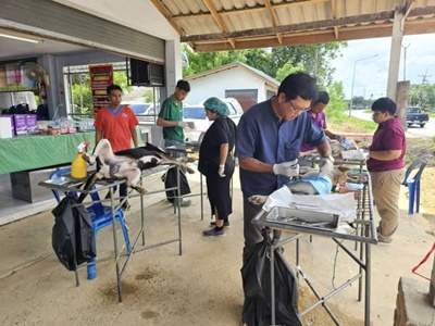 539504775 2923779881146704 2318790219712514738 n