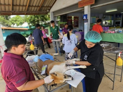 539985503 2923779861146706 3972449876418040744 n