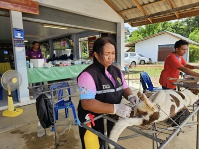 540024592 2923780471146645 6432841281763318308 n