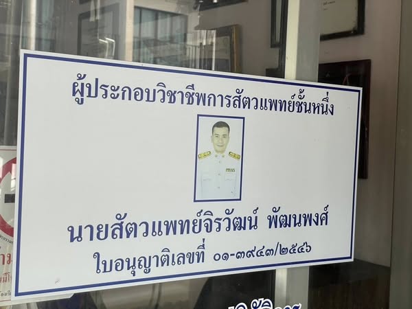 516751788 2879262032265156 944777704388562049 n