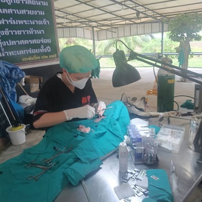 517399387 2884643098393716 3129731964180300619 n