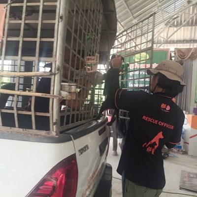 518251816 2884643188393707 2651218842133157693 n