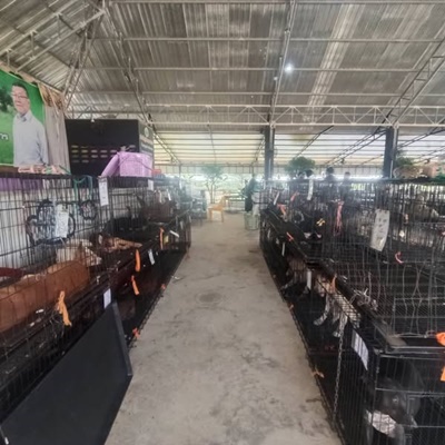 518324118 2884643148393711 5259837584094027003 n