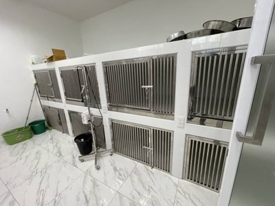 518424220 2887527858105240 2377062766948984093 n