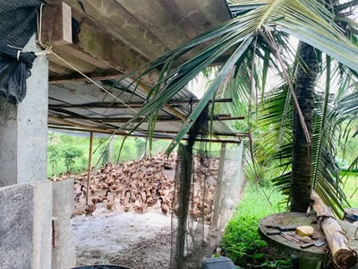 506181216 2853813028143390 7451452879367087779 n