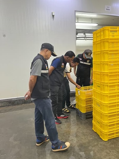 541448476 2932165053641520 1531589835163287032 n